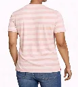 26.webp