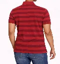 10.webp